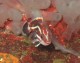 Thumbs/tn_DSechelt 008.jpg